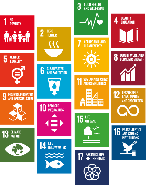 Sustainable Development Goals (SDGs) Icons by United Nation