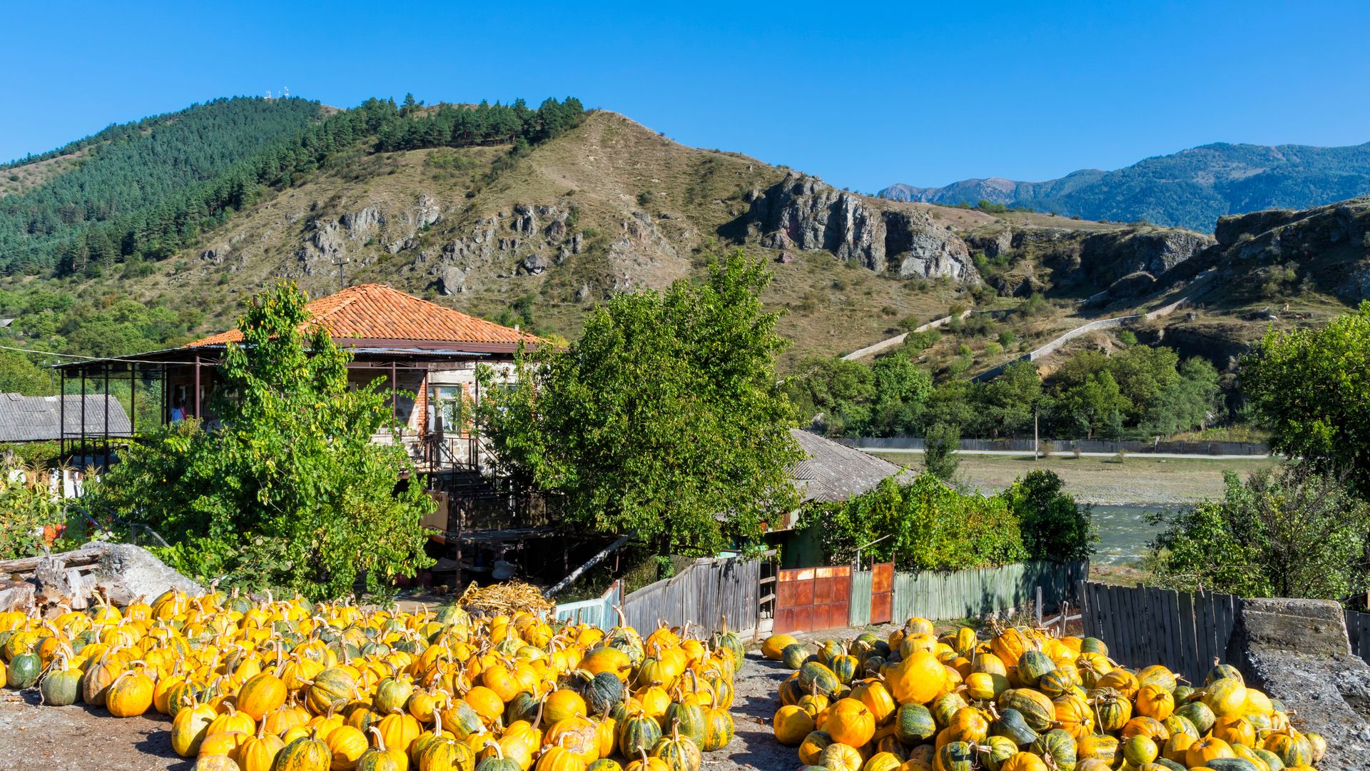 Genossenschaft in Georgien